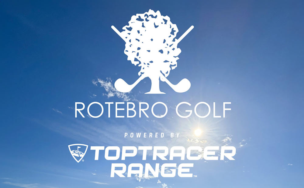 Golfboll och golfklubba